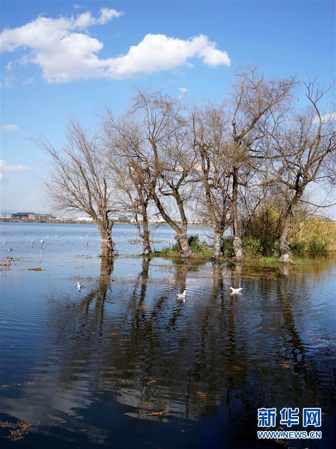 Qualidade da água do Lago Dianchi eleva para classe IV em 2018 