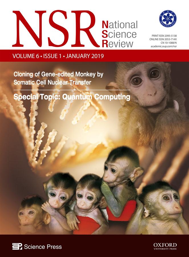 Macacos clonados abrem caminho à compreensão dos distúrbios circadianos