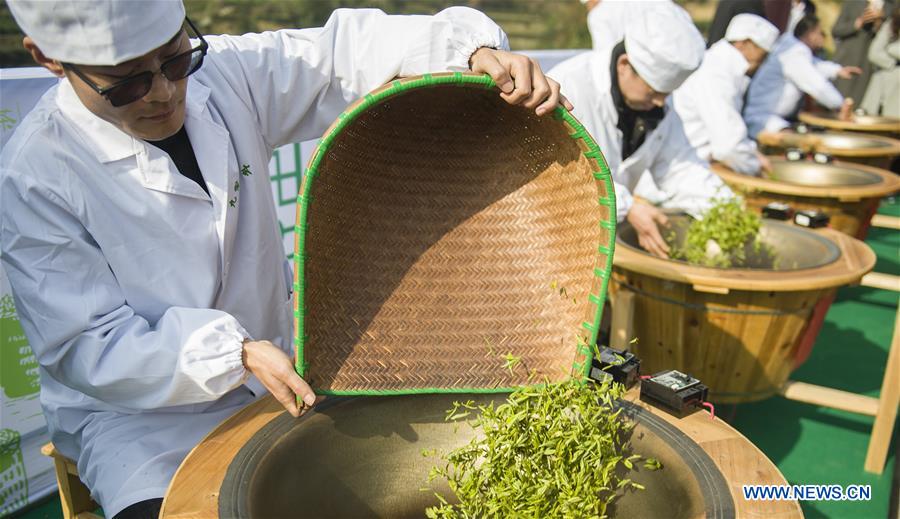 Galeria: A inauguração do parque de chá da primavera foi realizada na China