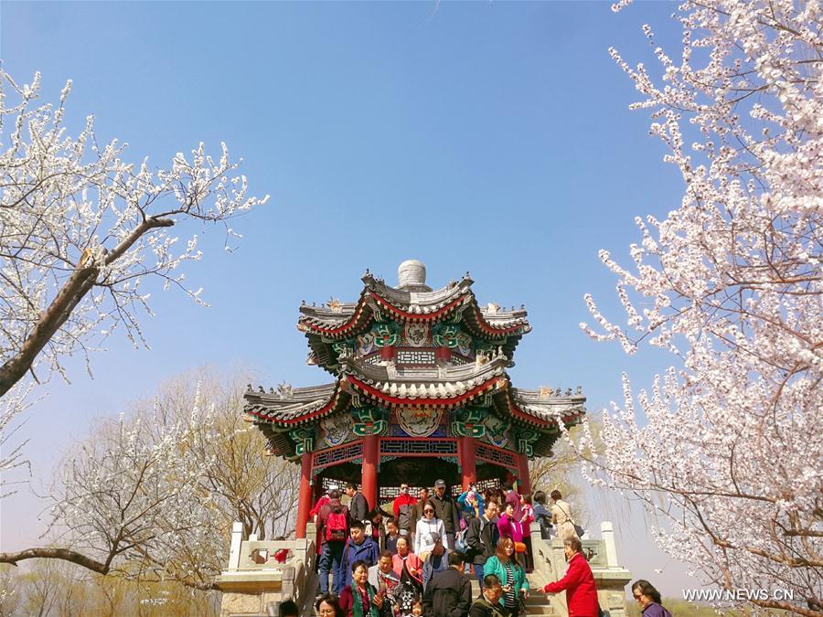 Galeria: Paisagem da primavera em Beijing 