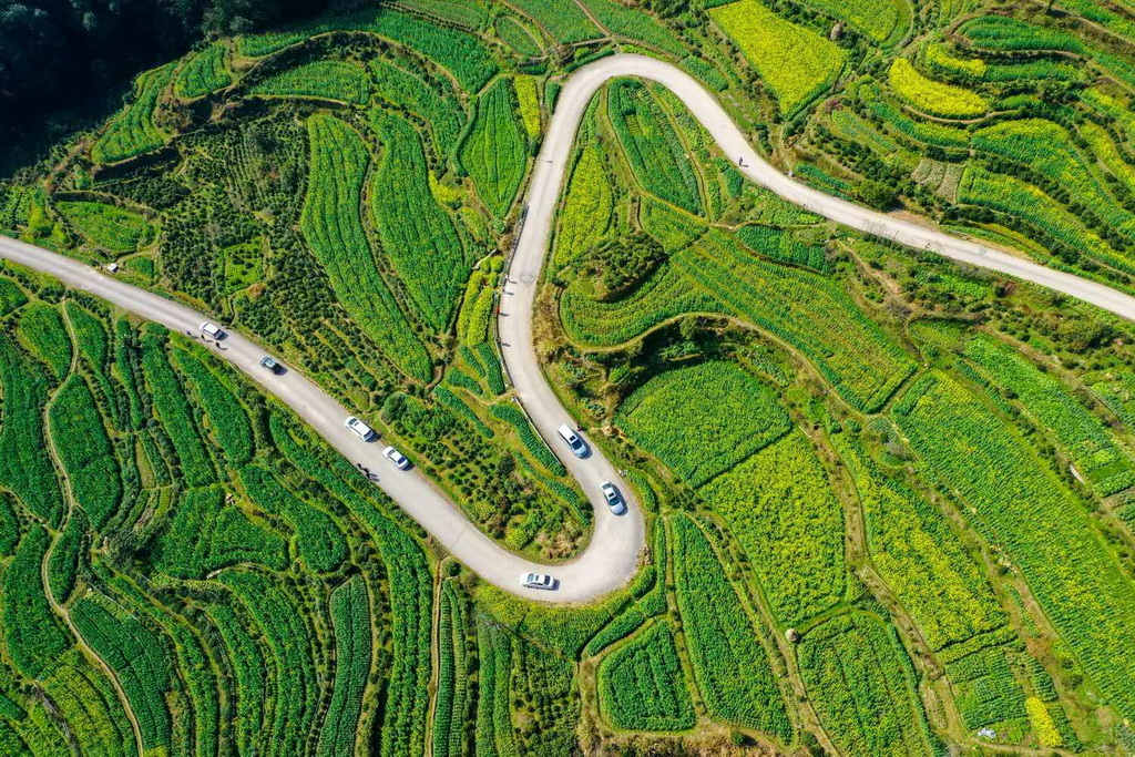 Galeria: aldeia de Wuyuan acolhe chegada da primavera