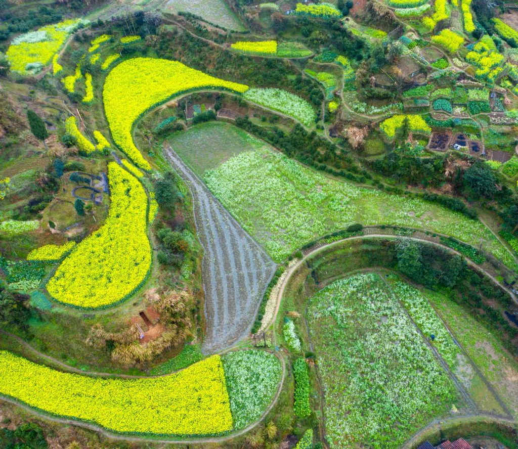 Galeria: aldeia de Wuyuan acolhe chegada da primavera