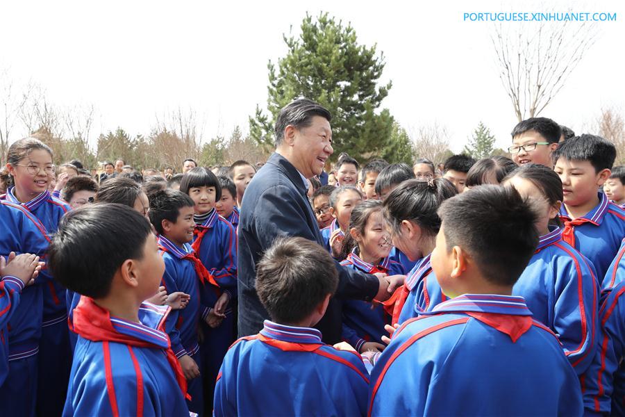 Xi destaca ampla participação na promoção do reflorestamento