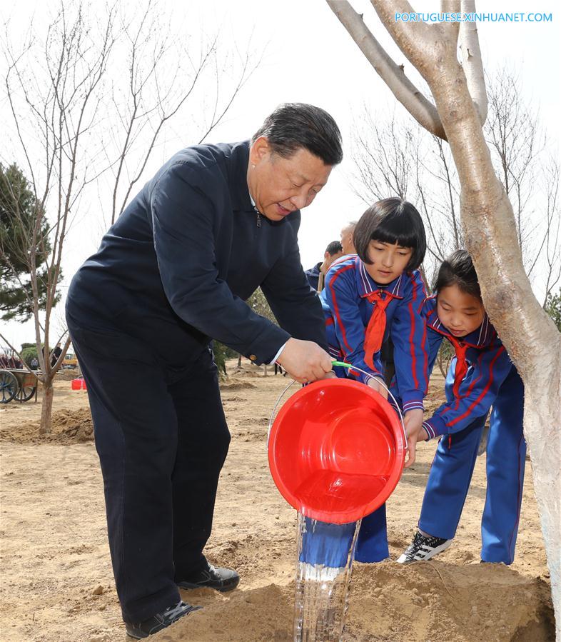 Xi destaca ampla participação na promoção do reflorestamento