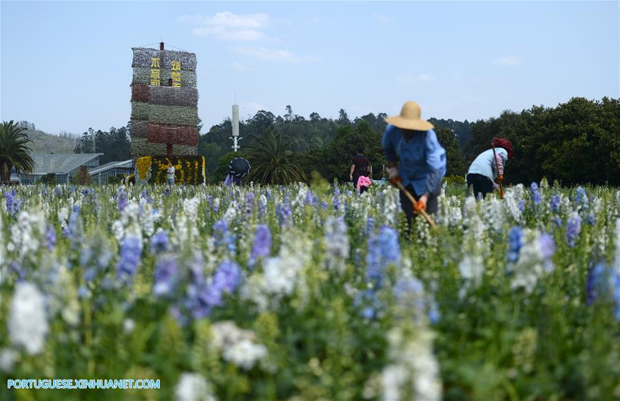 Galeria:Pessoas visitam o jardim da Exposição Internacional de Horticultura em Kunming, sudoeste da China