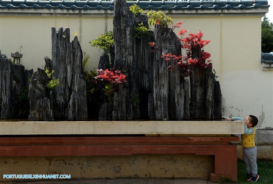 Galeria:Pessoas visitam o jardim da Exposição Internacional de Horticultura em Kunming, sudoeste da China