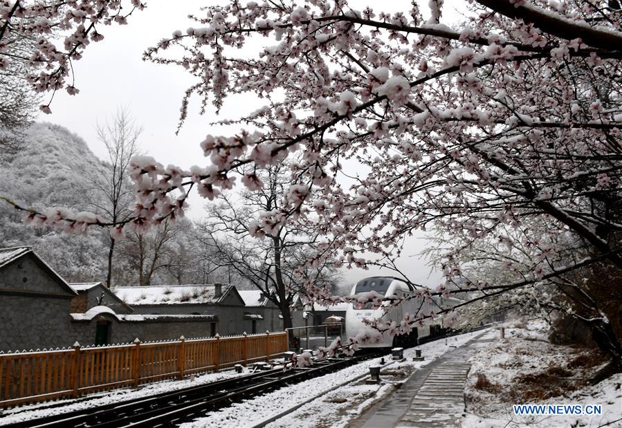 Galeria:Beijing celebra a neve em abril