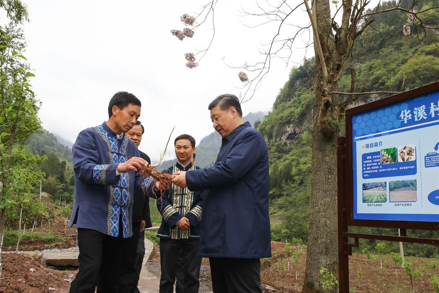 Presidente chinês faz visita de inspecão a Chongqing