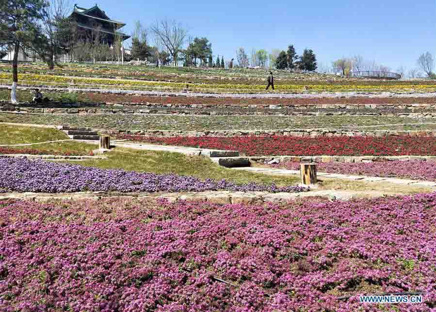 Fotos: local da próxima Exposição Internacional de Horticultura 2019 em Beijing