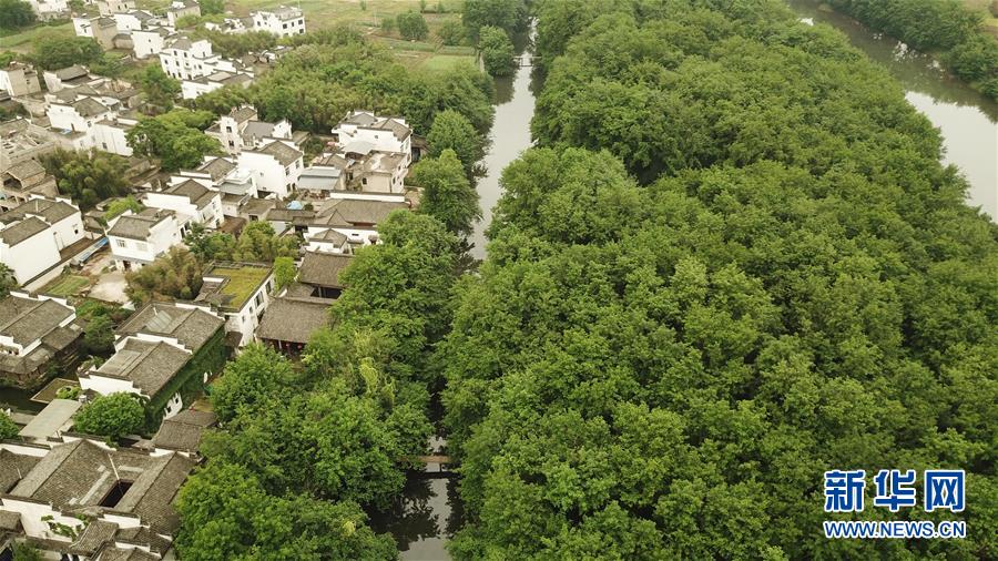 Galeria: Aldeia antiga na província de Anhui