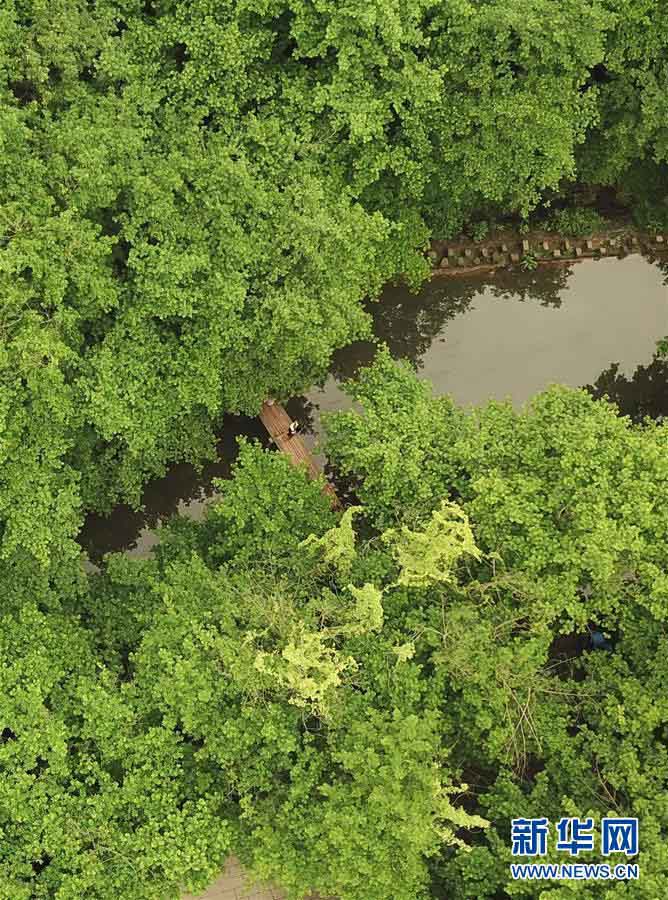 Galeria: Aldeia antiga na província de Anhui