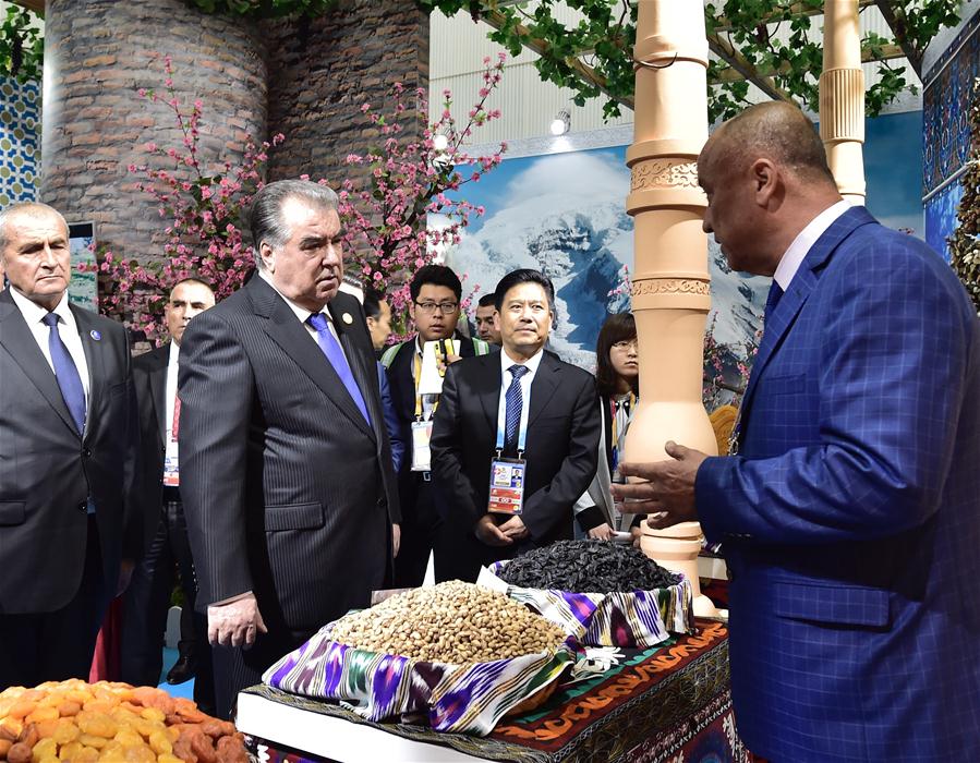 Galeria:Xi e líderes estrangeiros visitam Exposição Internacional de Horticultura