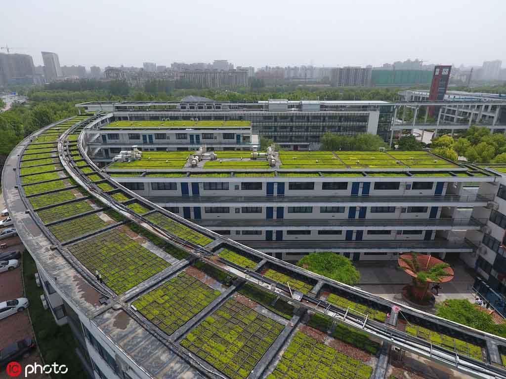 Zhengzhou: Esverdeamento dos telhados  