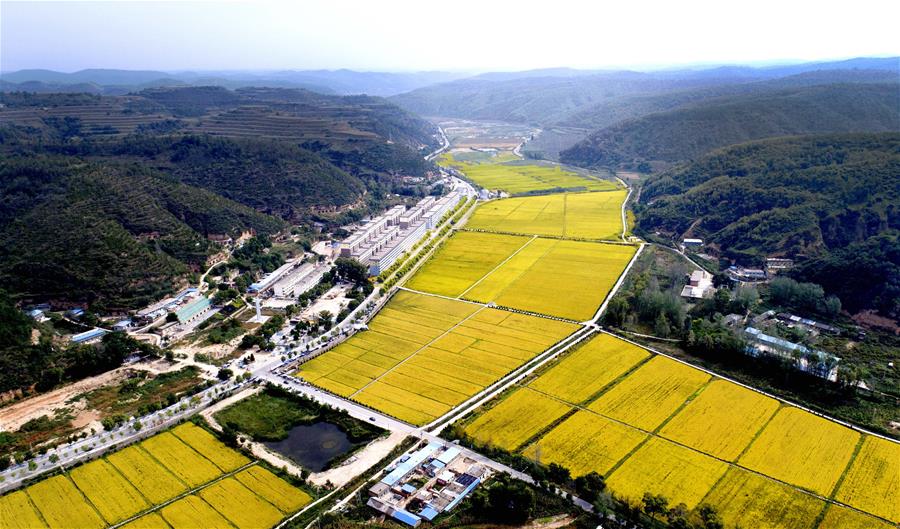 Base revolucionária icônica da China sai da pobreza