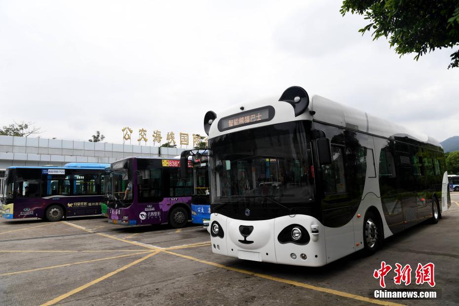 Insólito: “Ônibus Panda” atrai atenções nas ruas de Fuzhou