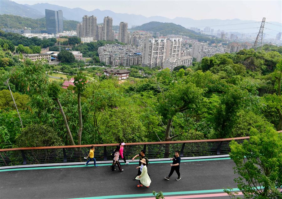 Pistas para pedestres ao lado de floresta oferecem local agradável para lazer em Fuzhou, sudeste da China