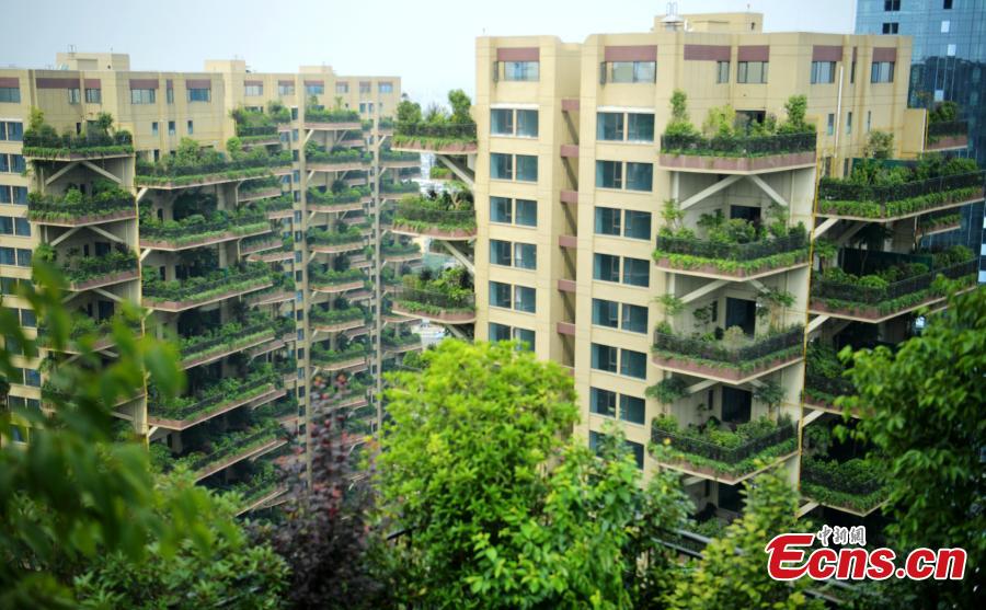 Insólito: Conheça a “floresta vertical” em Chengdu