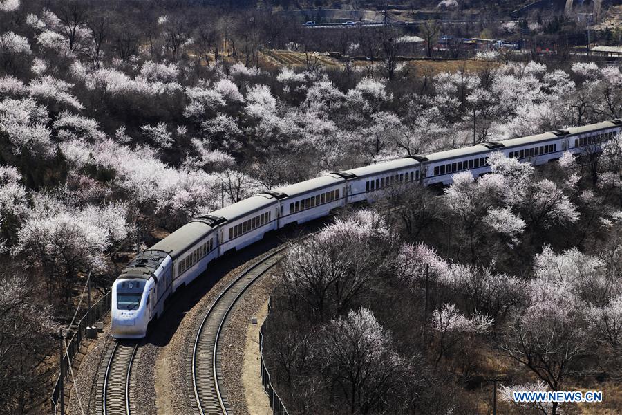 Ferrovia centenária testemunha “velocidade da China”

