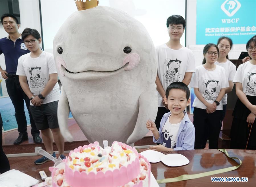 Galeria: Boto-do-índico comemora primeiro aniversário em Wuhan