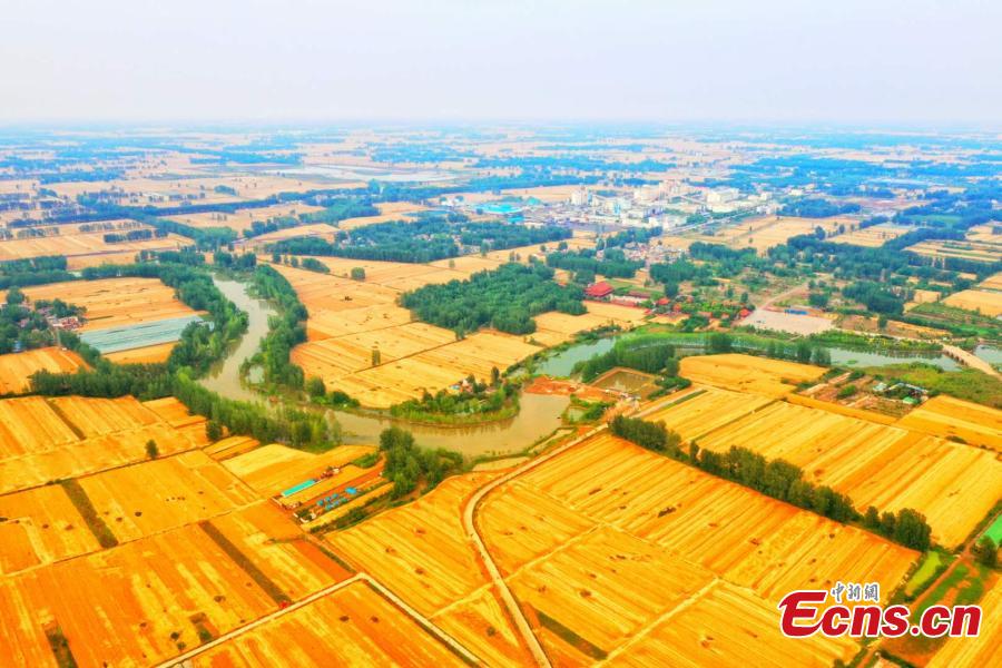 Galeria:Temporada de colheita de trigo arranca na província de Anhui