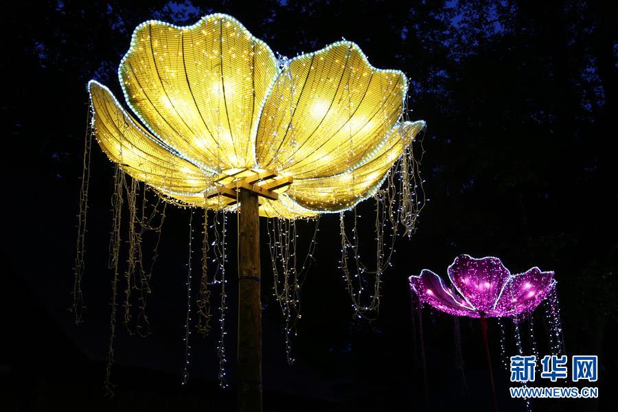 Romênia: lanternas chinesas iluminam Sibiu