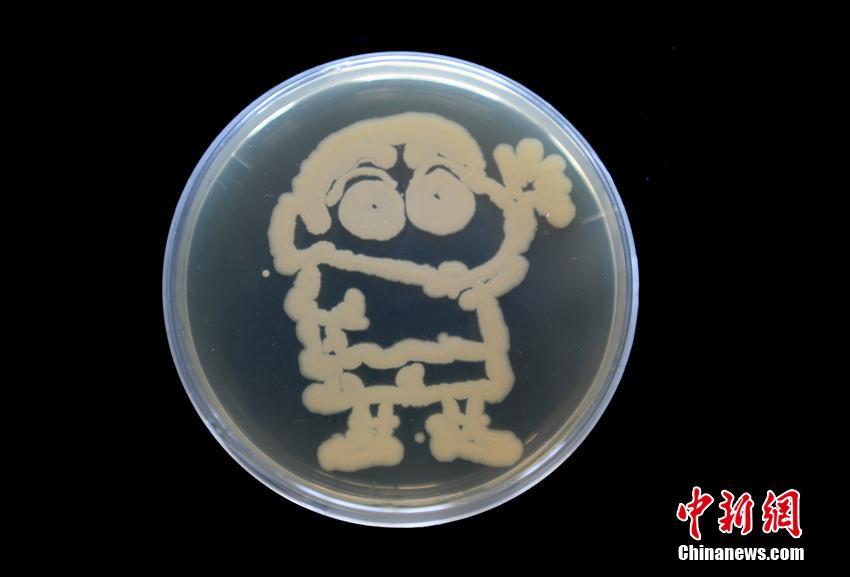 Estudantes de Changchun fazem “pinturas com bactérias”