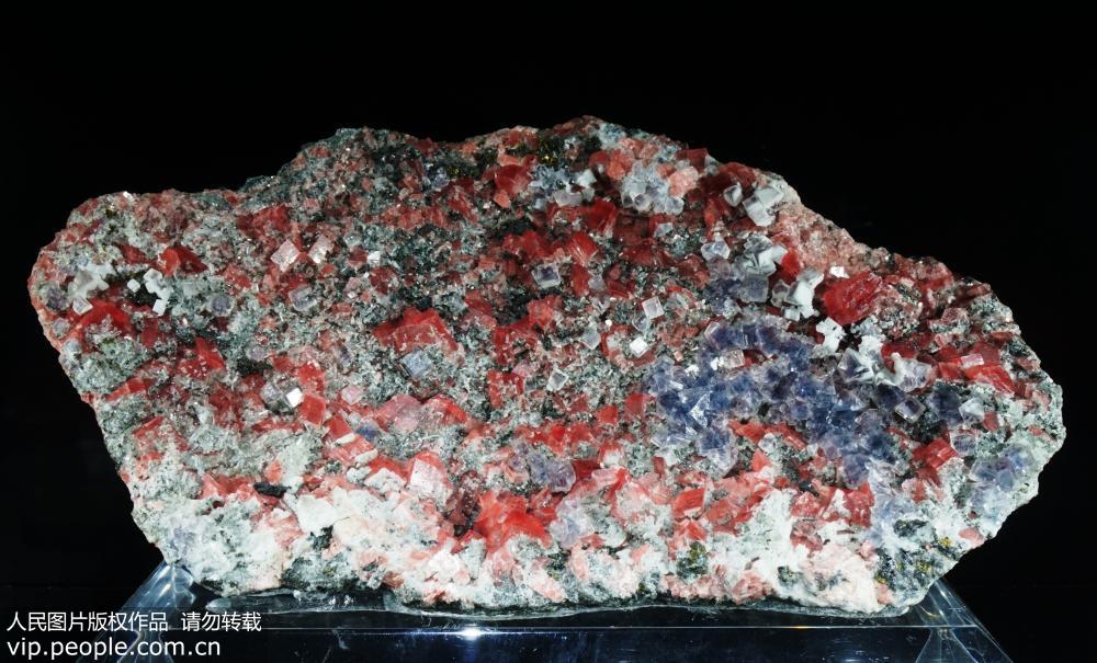 Exposição especial de pedras preciosas e minerais raros totalizando mais de 100 milhões de yuans em Hangzhou