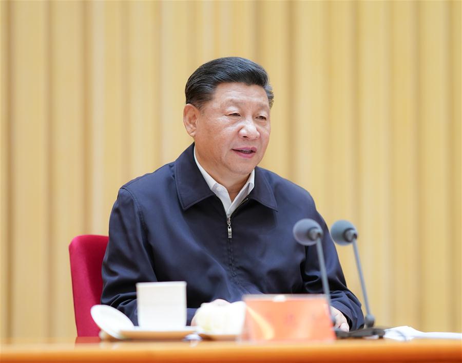 Xi assinala construção do Partido em instituições centrais do Partido e do Estado