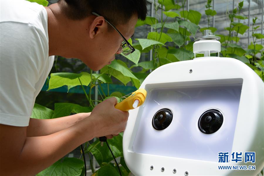 Fujian testa robô agrícola