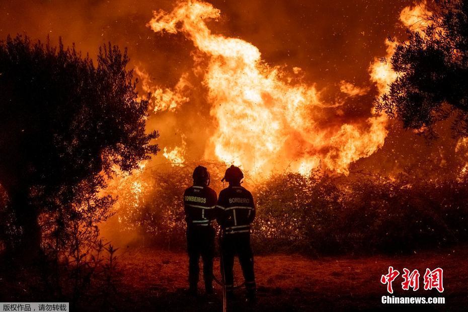 Portugal: Incêndio florestal em Castelo Branco deixa pelo menos 30 feridos