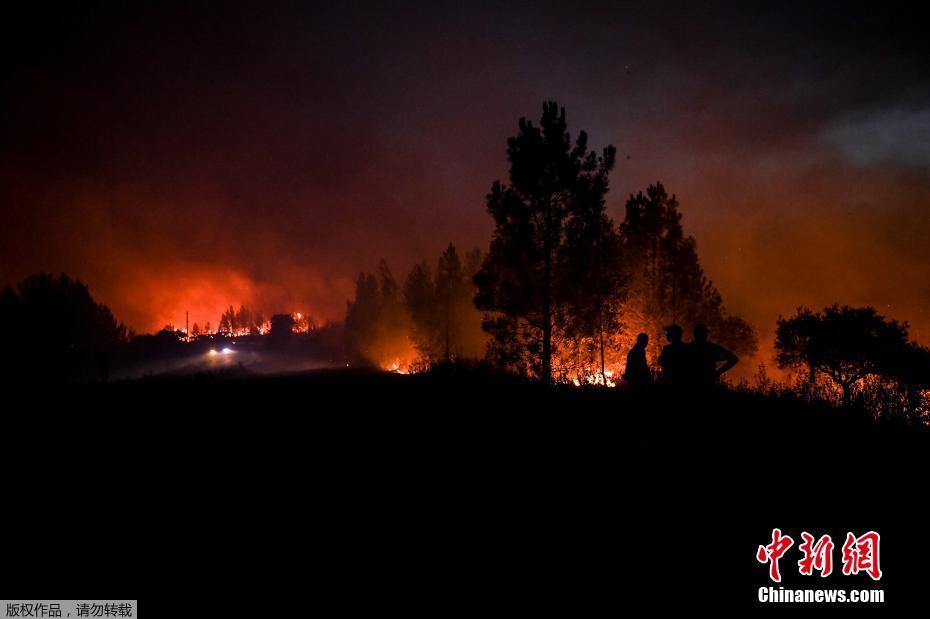 Portugal: Incêndio florestal em Castelo Branco deixa pelo menos 30 feridos