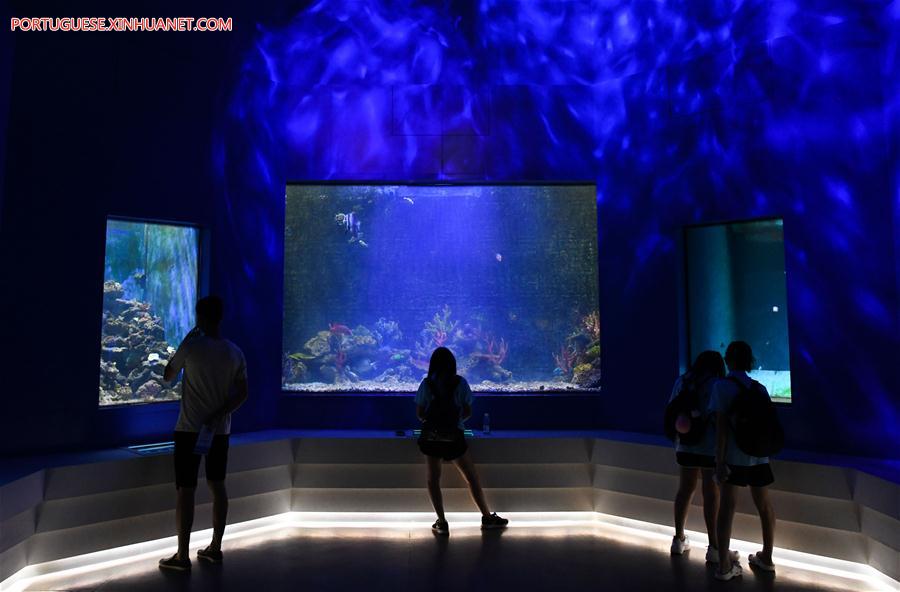 Museu em Hainan se torna lugar ideal para estudantes aproveitarem as férias de verão