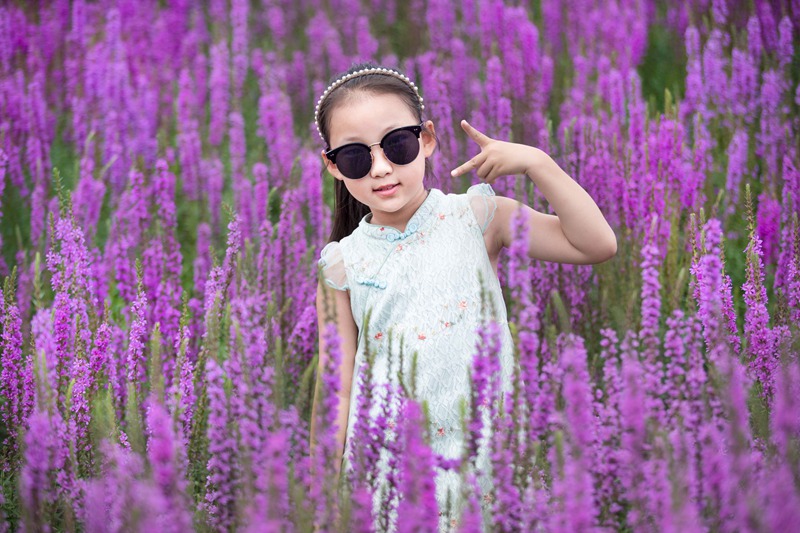 Mongólia Interior: Jardim de lavanda em Tongliao faz sucesso entre turistas