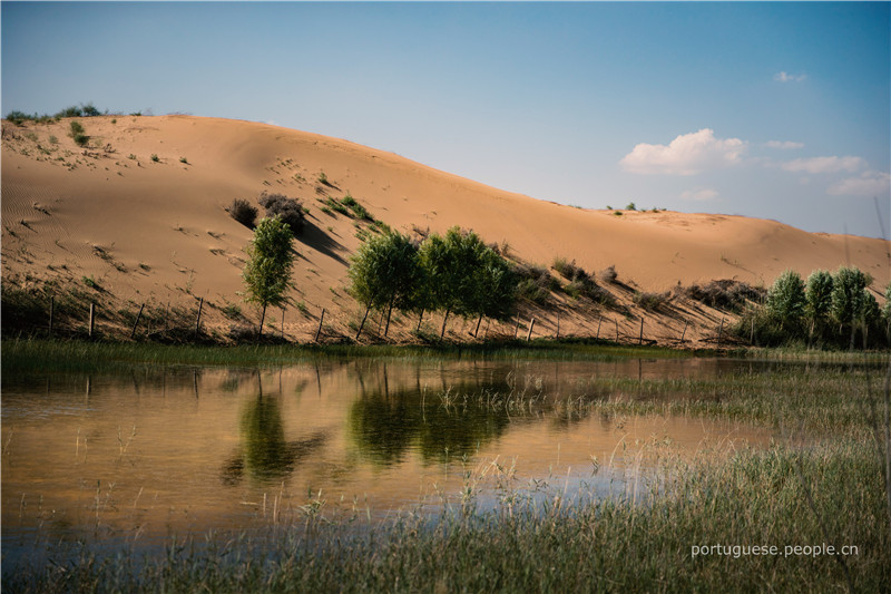 Galeria: Um paraíso onde coexistem pradarias e desertos na Mongólia Interior