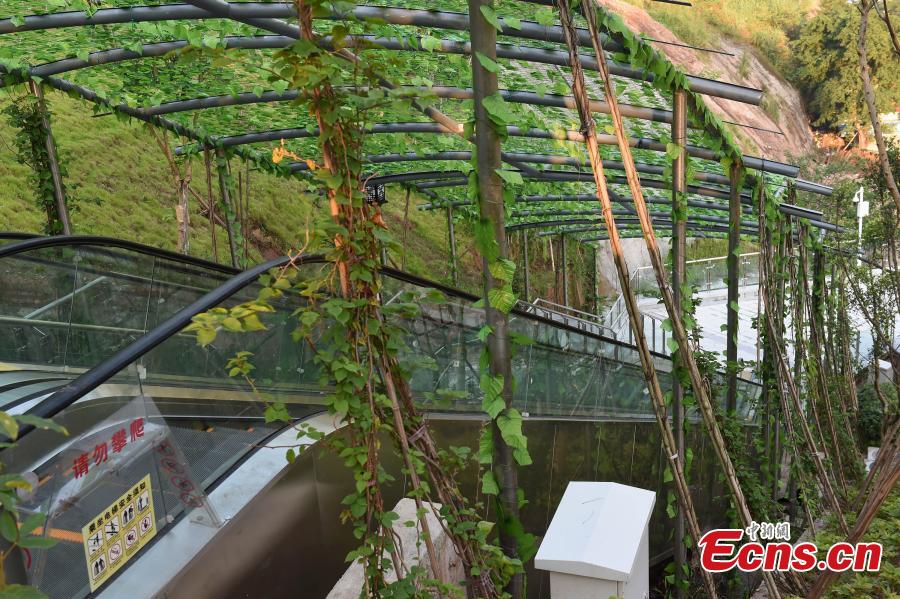 Chongqing: escadas rolantes construídas em encosta montanhosa