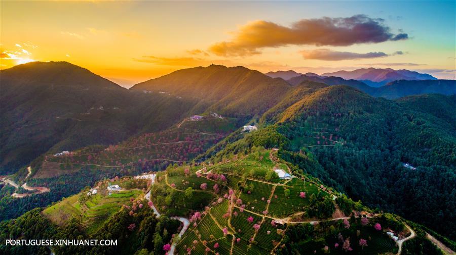 China verde: Yunnan coloca grandes esforços na promoção da construção da civilização ecológica