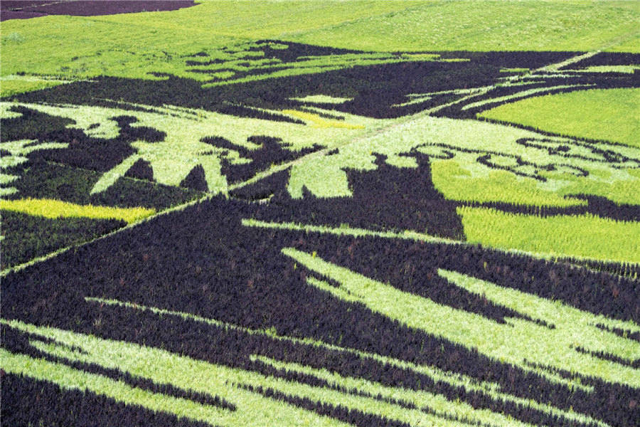 Parque de arte Tanbo acrescenta variedade artística à paisagem de Xinjiang