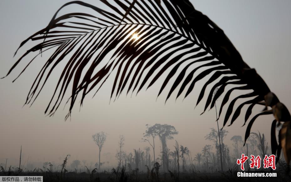 O governo brasileiro mobiliza o exército para ajudar a extinguir incêndios graves na Floresta Amazônica