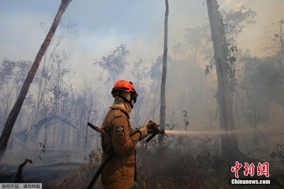 Galeria: bombeiros brasileiros combatem incêndio na Florestal Amazônica