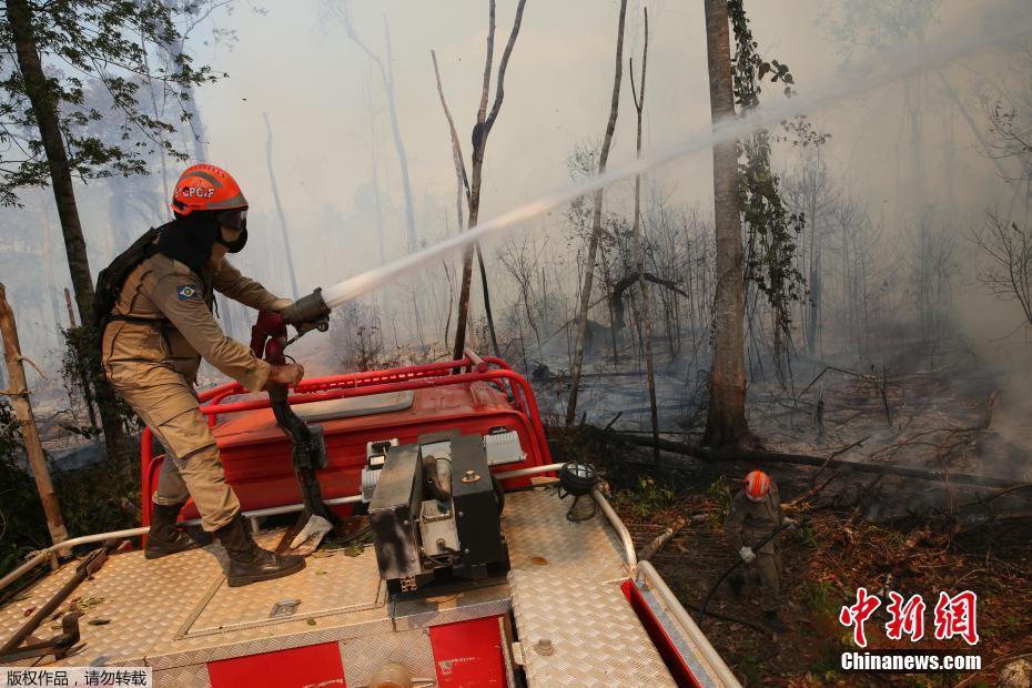 Galeria: bombeiros brasileiros combatem incêndio na Florestal Amazônica