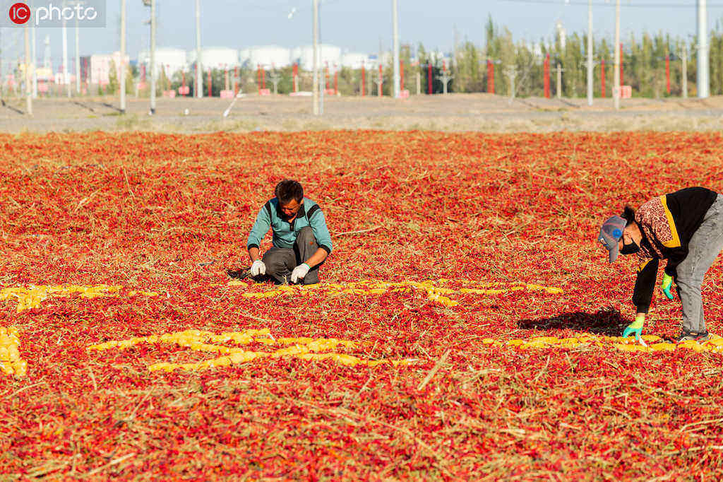 Produção anual de alimentos da China aumenta 5 vezes nos 70 anos
