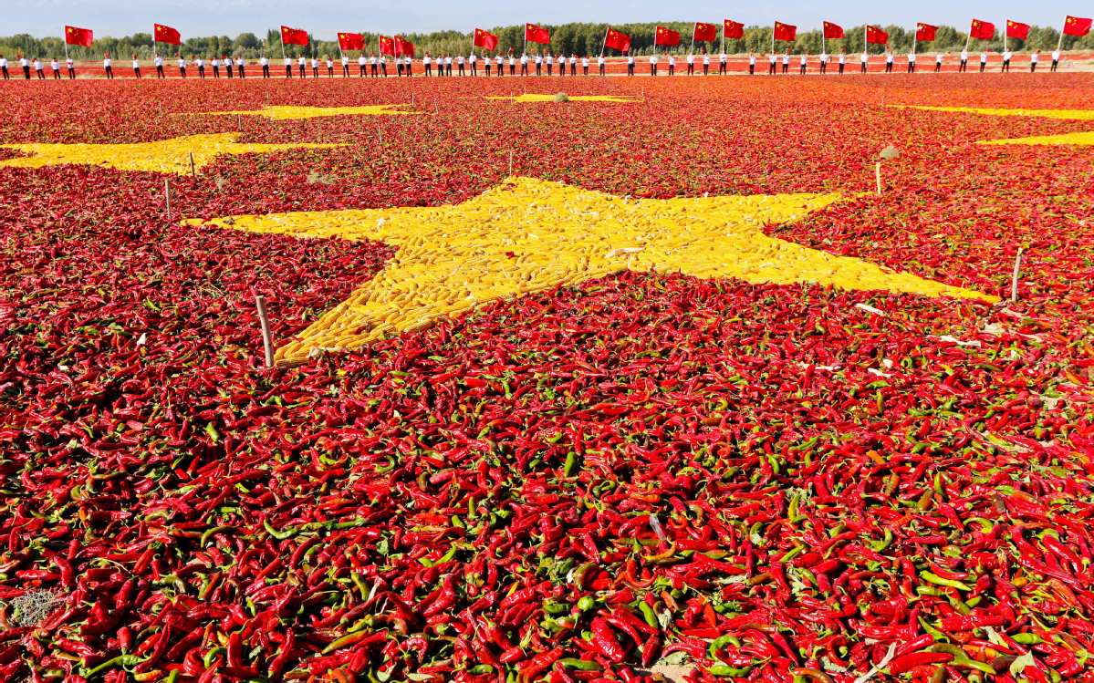  Agricultores chineses celebram ano de colheita com pimentas vermelha