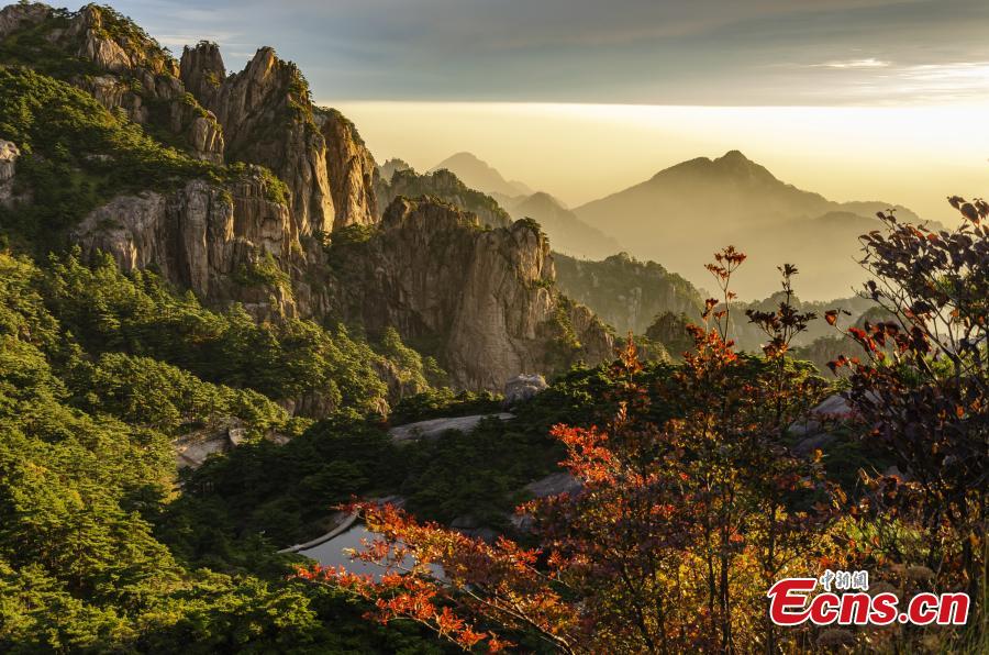 Galeria: paisagem do outono na Montanha Huangshan