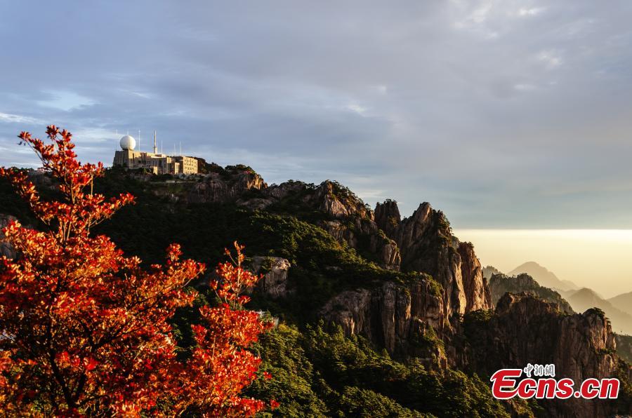 Galeria: paisagem do outono na Montanha Huangshan