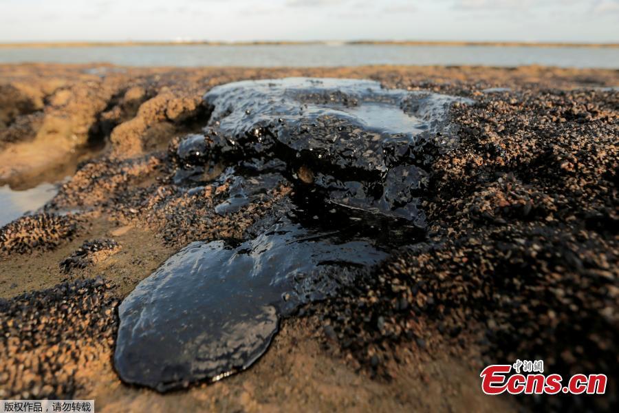 Brasil intensifica limpeza da poluição costeira de petróleo em que mais de 100 praias foram afetadas