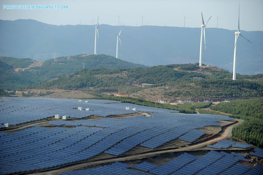 Relatório: China se torna principal motor de desenvolvimento da energia verde