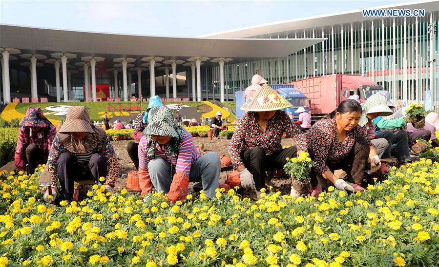 Trabalhadores plantam flores decorativas na praça sul do Centro Nacional de Exposições e Convenções em Shanghai, em 21 de outubro de 2019. 