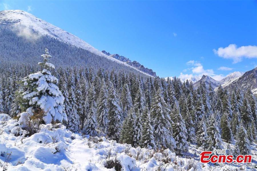 Guansu: neve chega na Fazenda de Cavalos Militar Shandan