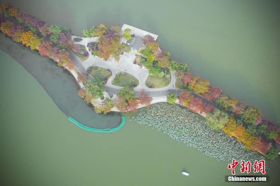 Nanjing: Lago Xuanwu enfeitado com tons outonais