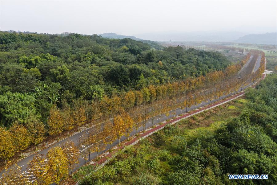 Cenário do início do inverno da ilha de Guangyang em Chongqing